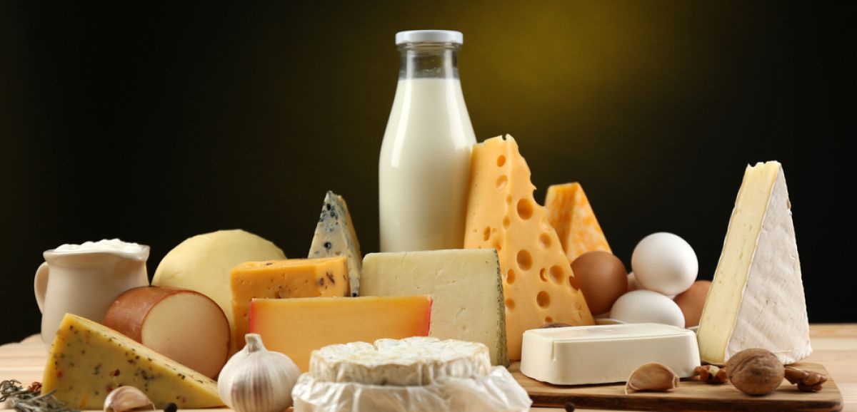 Santé. Bien Manger Bien Vivre : le top 10 des aliments riches en calcium