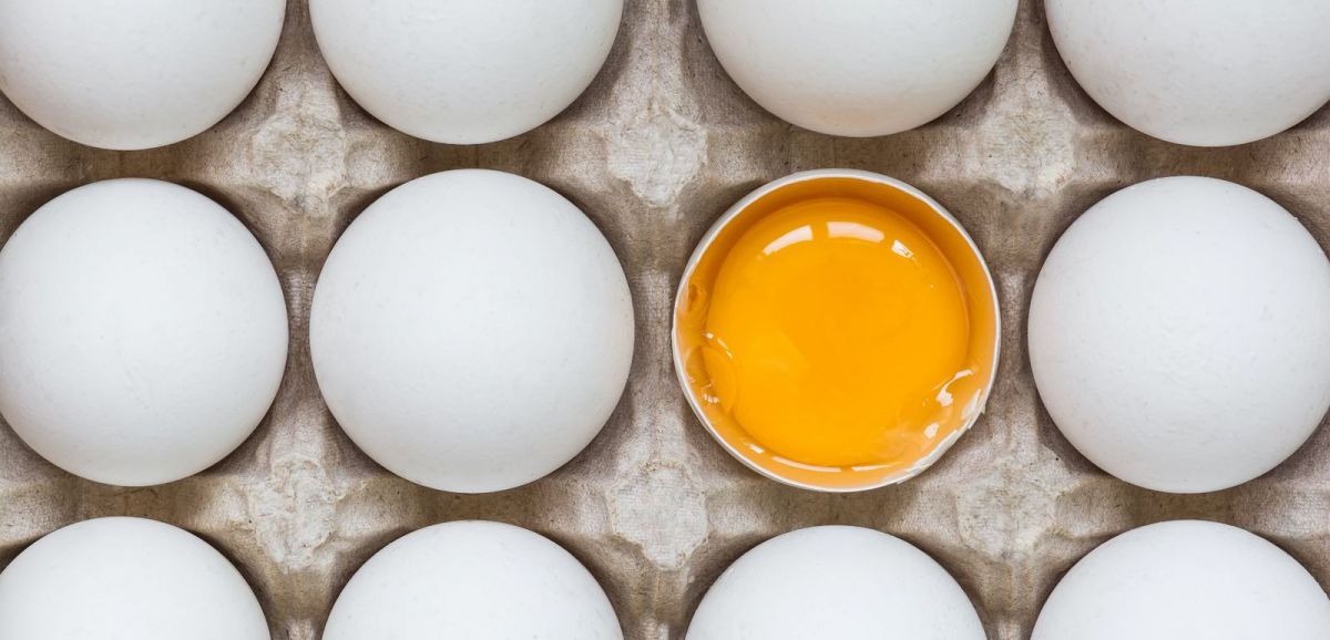 Santé. Bien Manger Bien Vivre : l’œuf, simplicité et variété