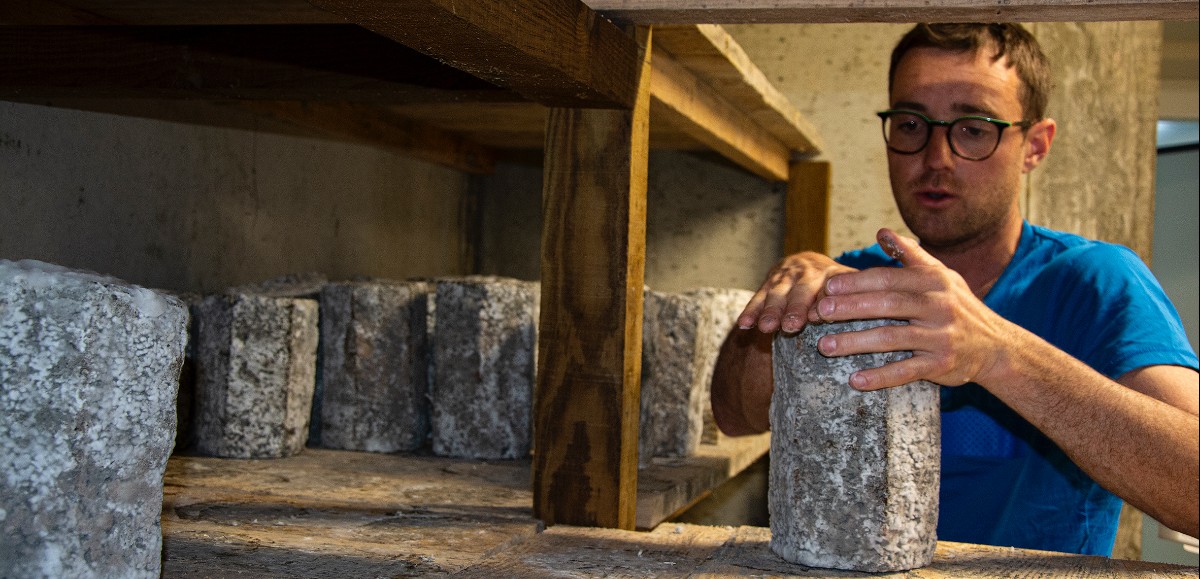 Persillés et Basaltes. À Saint-Urcize, naissance  d’un nouveau fromage pour l’Aubrac 
