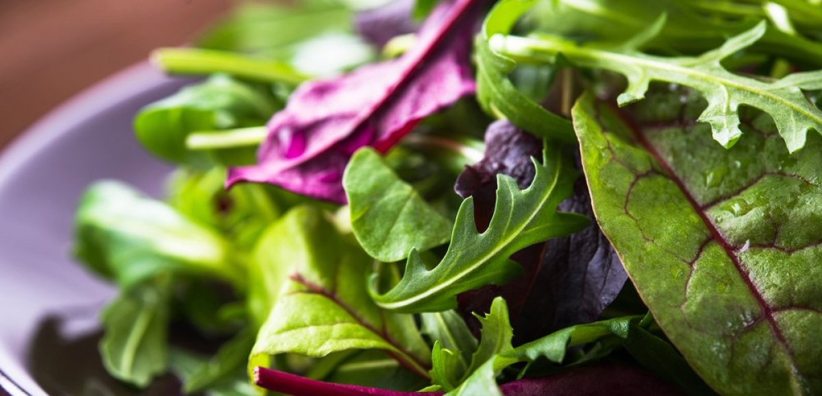 Santé. Bien Manger Bien Vivre : les salades, vertes de plaisir 