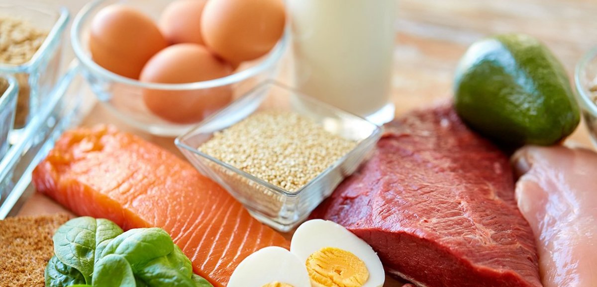 Santé. Bien Manger Bien Vivre : où trouver des protéines ? 