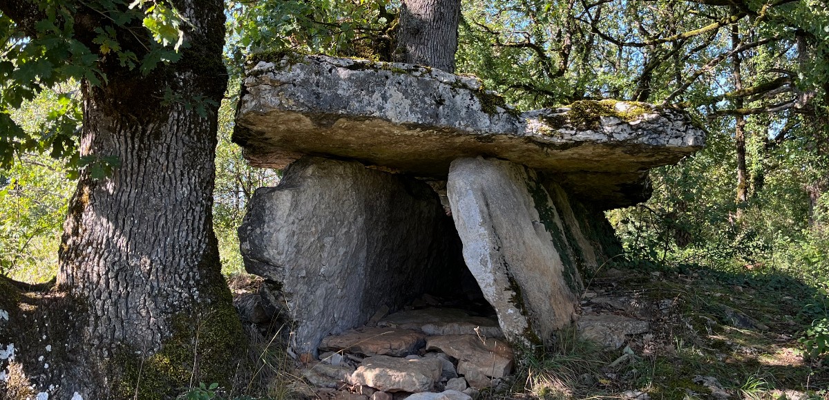 Archéologie. Aveyron, la terre aux 1.000 dolmens 
