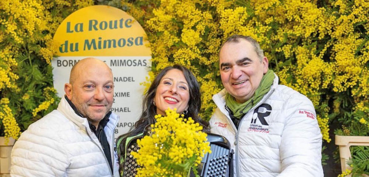 Folklore. À Rungis, le mimosa fleure bon l'Aveyron 