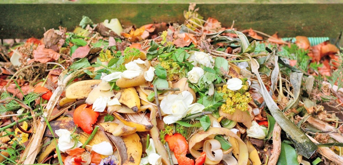 Le Bulletin Côté Jardin. Le compostage, un art de vivre autrement 