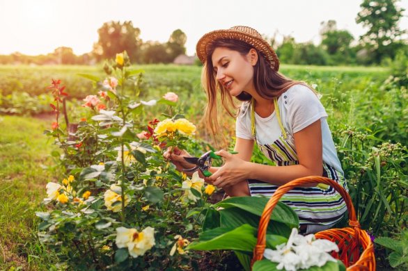 Santé. Comment le jardinage éloigne-t-il le risque de cancer ? 