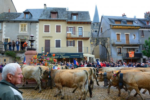 Saint-Côme-d'Olt. Transhumance : défilé des troupeaux et danses folkloriques 