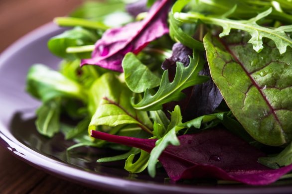 Santé. Bien Manger Bien Vivre : les salades, vertes de plaisir 