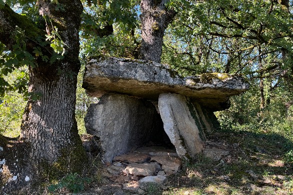 Archéologie. Aveyron, la terre aux 1.000 dolmens 