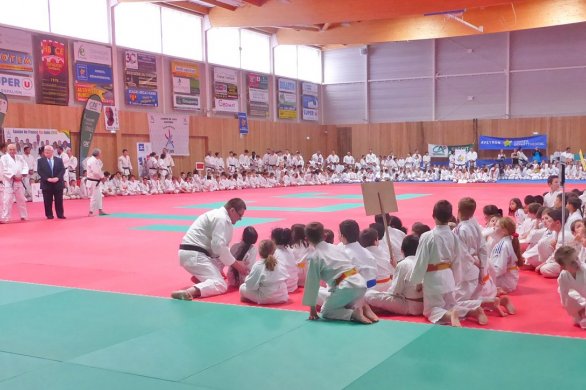 Le judo à l'honneur. Des champions d'envergure à Espalion 