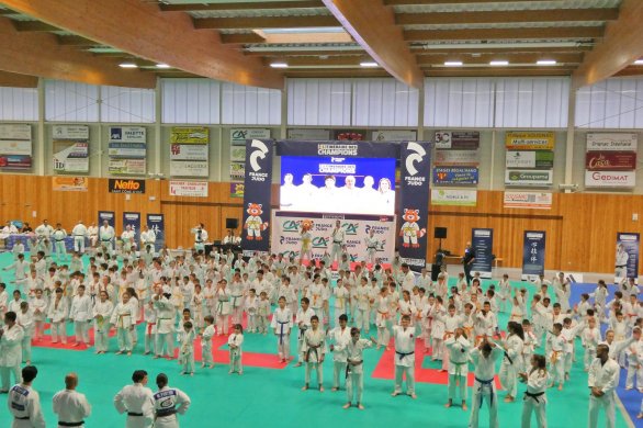 Judo. Une initiation gratuite pour les jeunes 