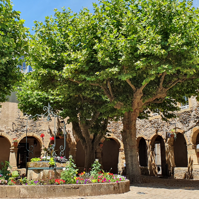 Saint-Geniez d'Olt, le cloître. - OT Des Causses à l'Aubrac