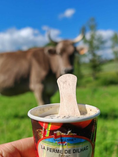 À Lacroix-Barrez, la ferme de Dilhac produit en plus de ses produits laitiers des glaces.