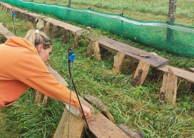 Humidité, nourriture, fortes chaleurs, les deux héliciculteurs veillent.