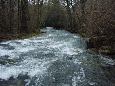 Par fortes eaux au printemps, il faut chercher les rares postes exploitables, souvent en bordure.