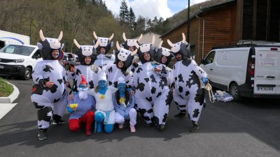 Même les vaches...