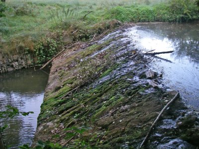 Une chaussée devenue sans usage entraîne un réchauffement néfaste de l'eau en amont de l'ouvrage.