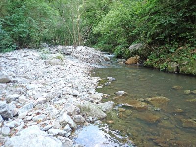 Sur cette rivière, des chasses opérées par EDF ont permis de remobiliser les sédiments et de recréer de l'habitat.