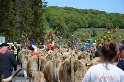 Chaque bacade était suivie par le public. - Eloïse Bonnin