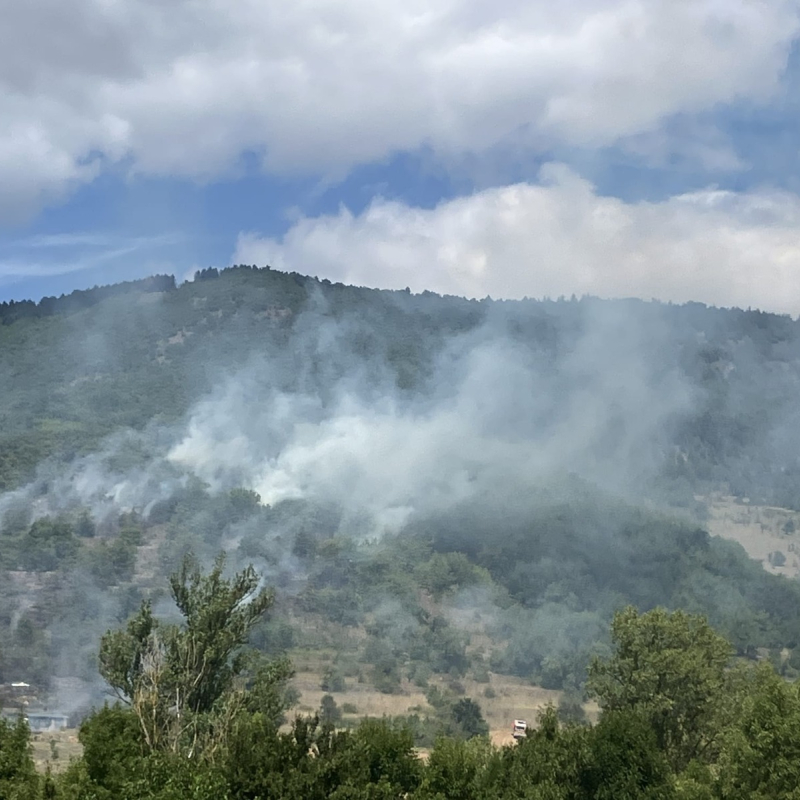 Le feu a parcouru environ 10 hectares de végétation. - SDIS 12