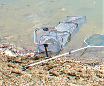 Il faut bien installer le matériel avant de commencer la partie de pêche.