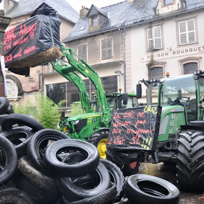 Une opération coup de poing après la décision du gouvernement d’interdire toute sortie de bovins du territoire métropolitain. - Daniel Escoulens