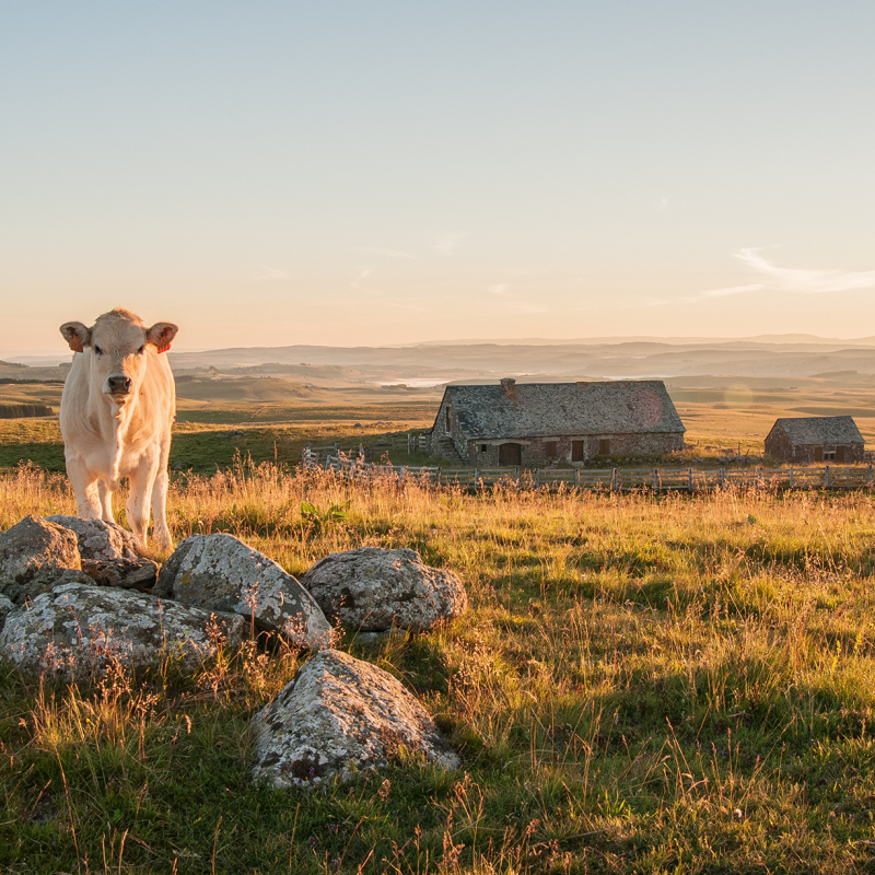 PNR Aubrac / A. Méravilles