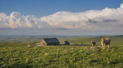 PNR Aubrac / A. Méravilles