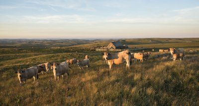 PNR Aubrac / A. Méravilles