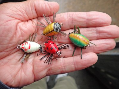 Leurres flottants Notobug.