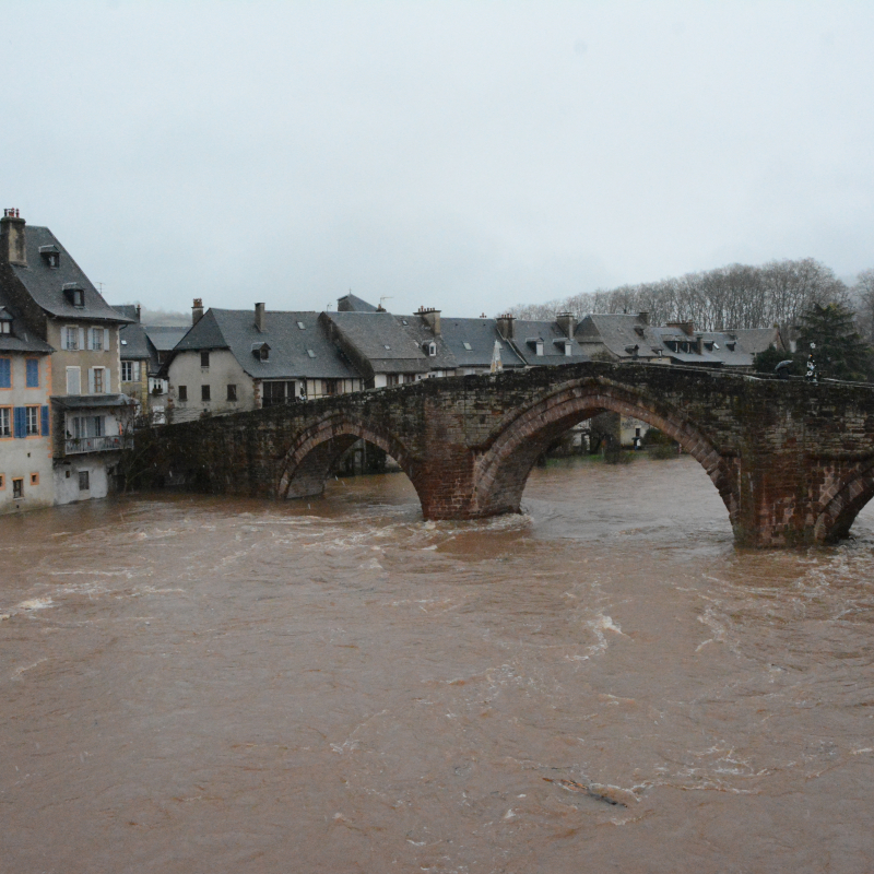 Le Lot charrie des branches. - Elo&iuml;se Bonnin
